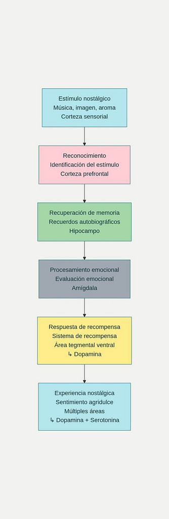El Proceso Neurológico de la Nostalgia: Cómo el Cerebro Procesa los Recuerdos Nostálgicos